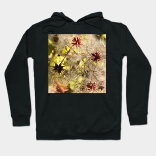 The Newest Seeds of Change will Bring a Wondrous Direction Hoodie